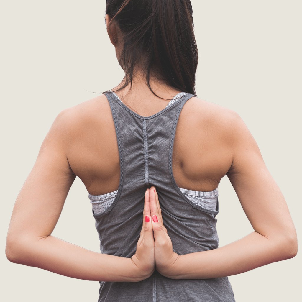Active Wear - Encore Fashion