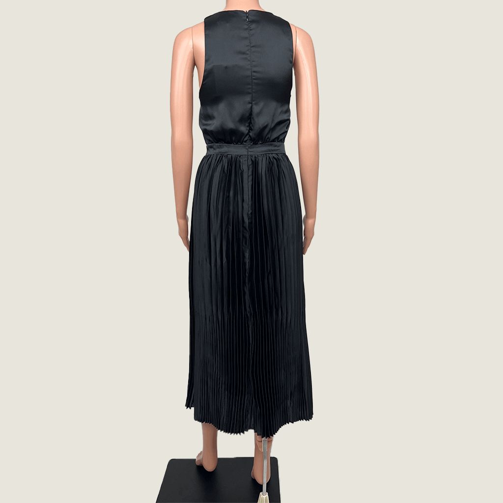 Chancery Pleated Maxi Dress Back