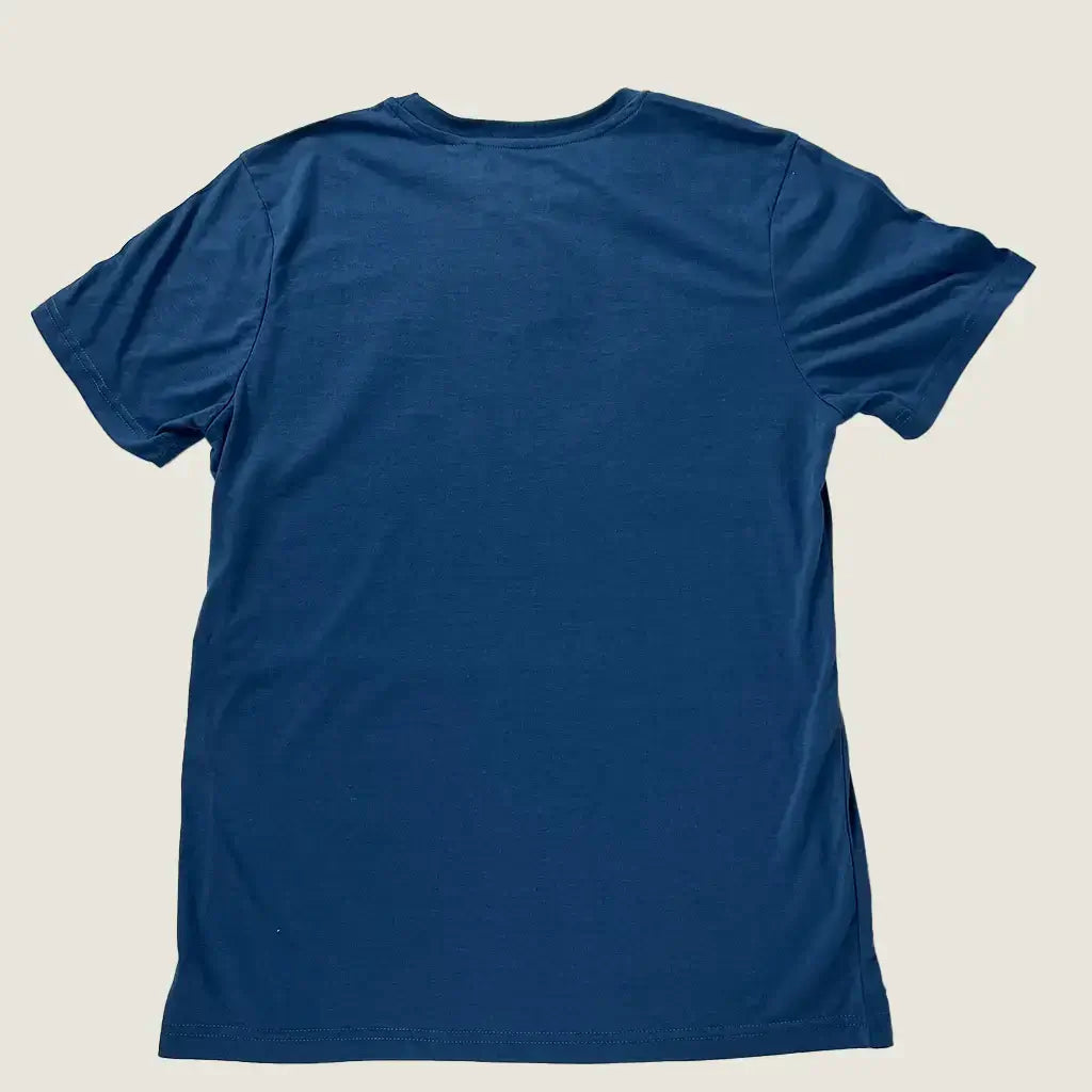 Back View of the Blue Everlast Men's T-Shirt
