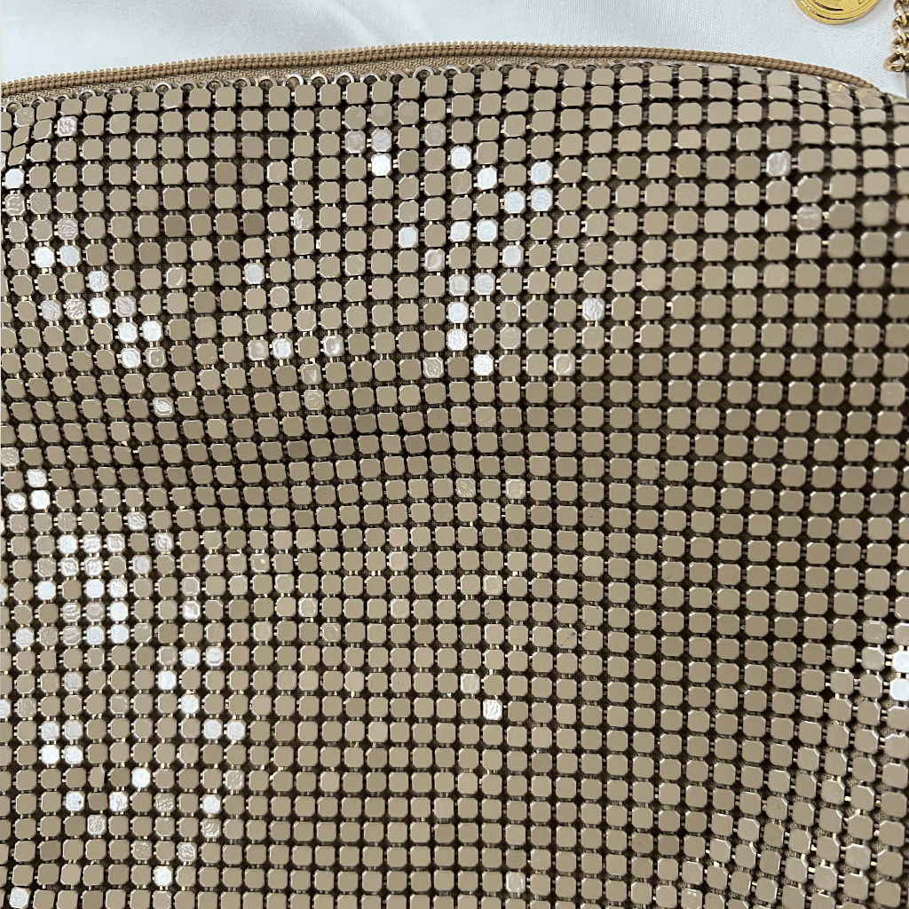 Glomesh Retro Beige Evening Shoulder Bag Metal Detail