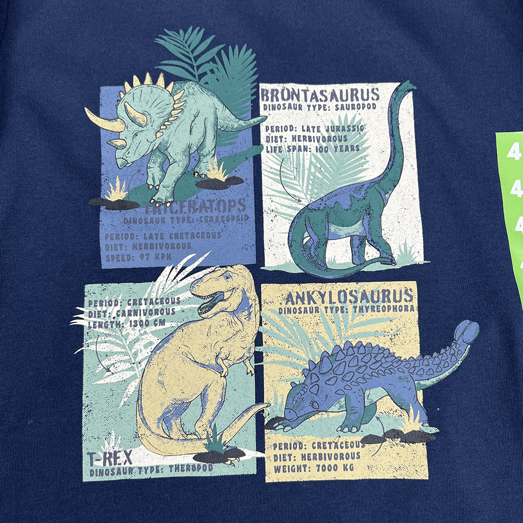Tilt Dinosaur Boys Design Detail