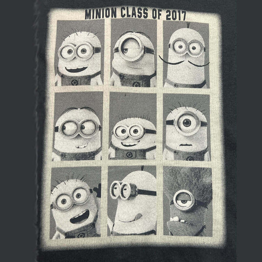 Despicable Me Detail Imagine