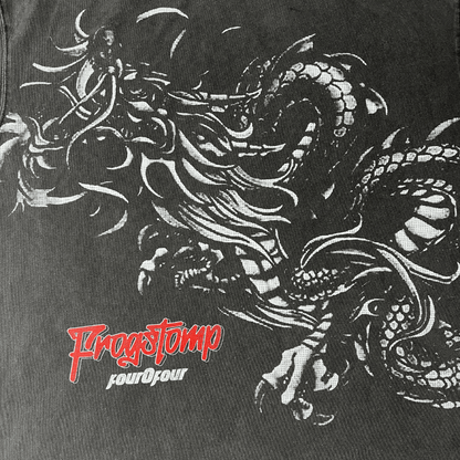 Front view of the Dragon design t-shirt