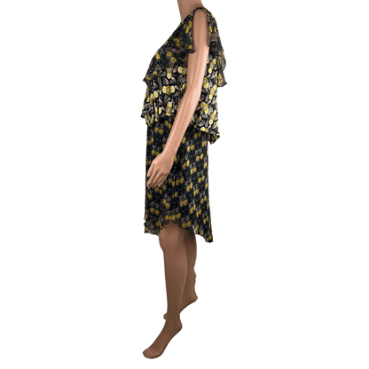 Front view of the Anna Sui Daisy Dress