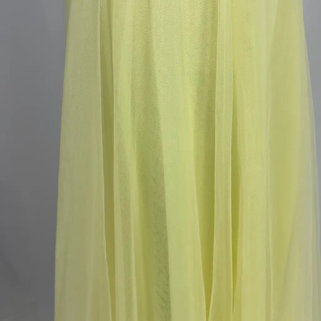 Front Detail View of the Indikah Jasmine Organza Mesh Elasticated Waist Midi Skirt