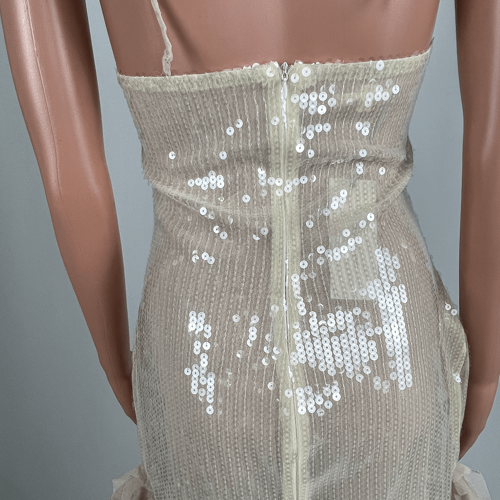 Back Detail View of the Ooh The Label Saturn evening Nude Sequin Gown