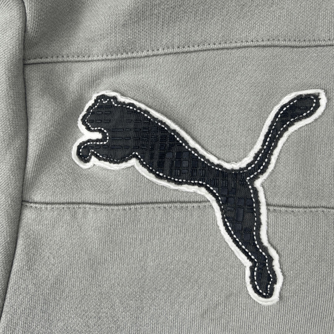 Front logo detail view of the Puma two tone hoodie