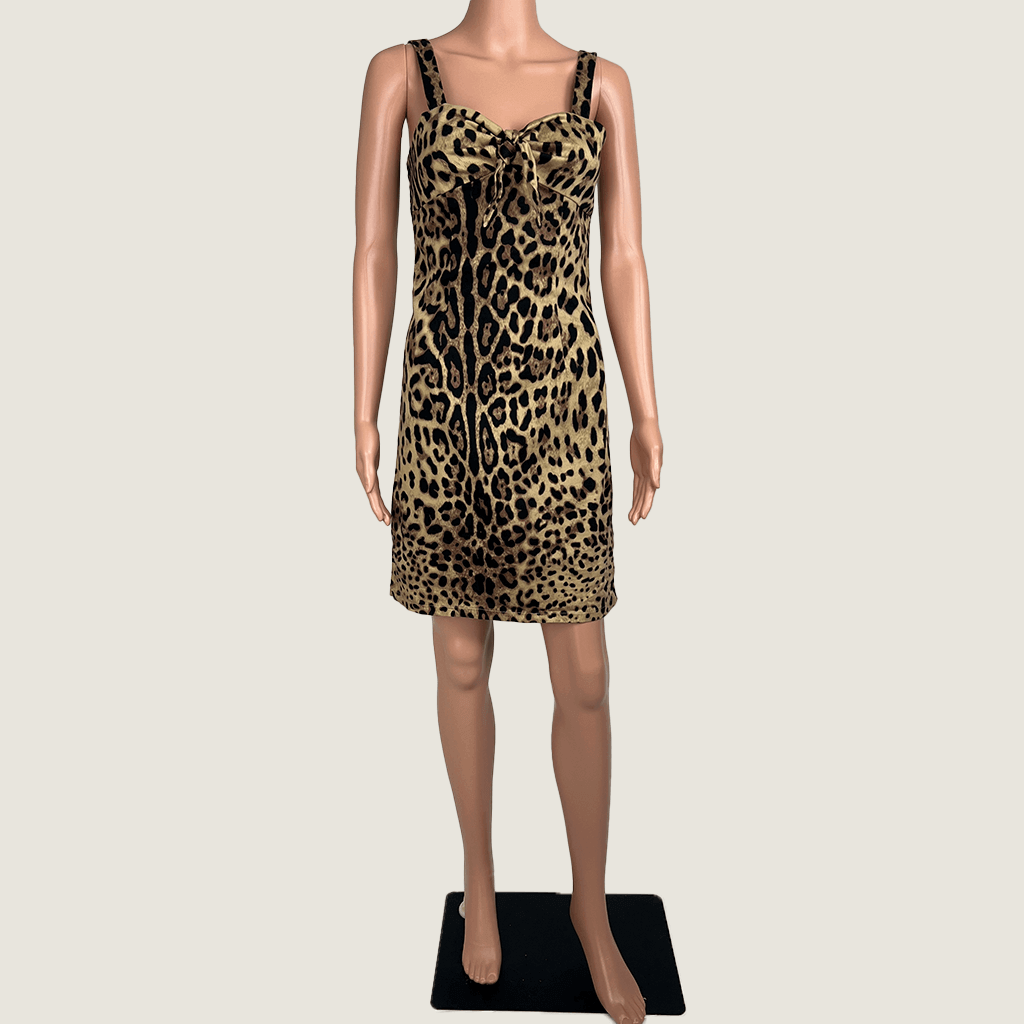 Dangerfield Revival Leopard Print Dress Front