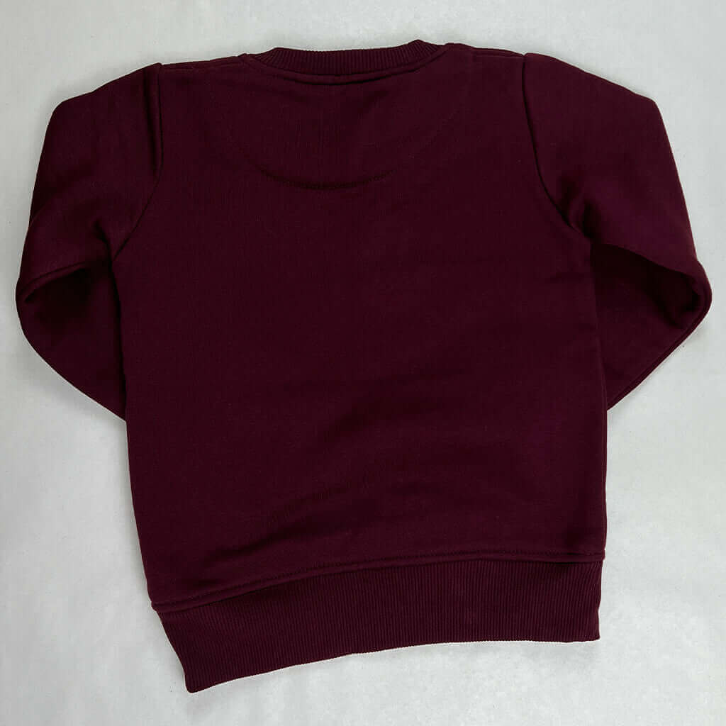 Adidas Kids Maroon Sweat Plain Back