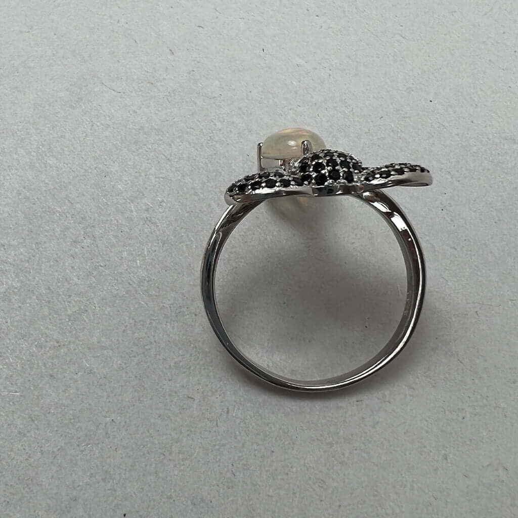 Elephant Ring Behind